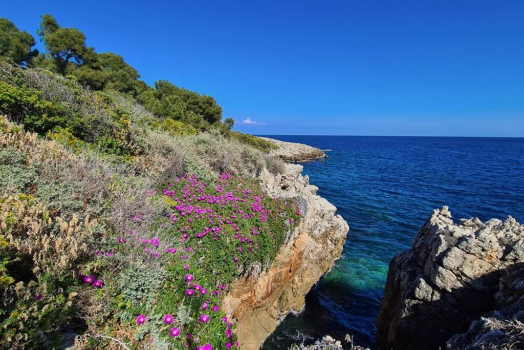 Casalionelantibes 70 Sqm Apartment With Garden And Parking Exteriér fotografie