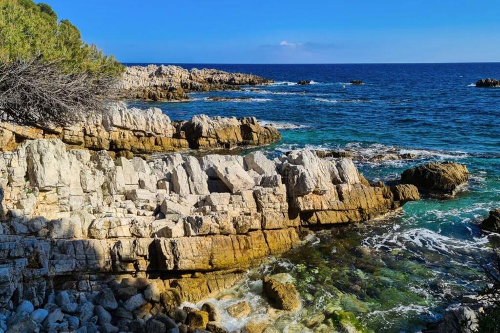 Casalionelantibes 70 Sqm Apartment With Garden And Parking Exteriér fotografie